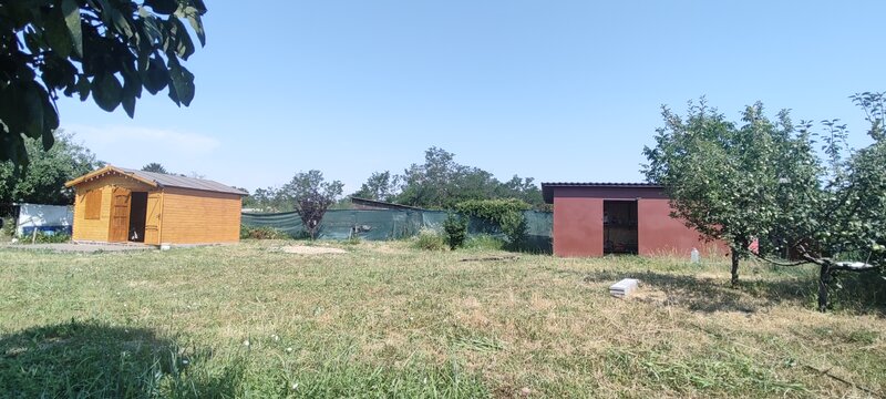 Cascioarele, Ulmi jud. Giurgiu, teren 1.200 mp + casuta de gradina si anexe